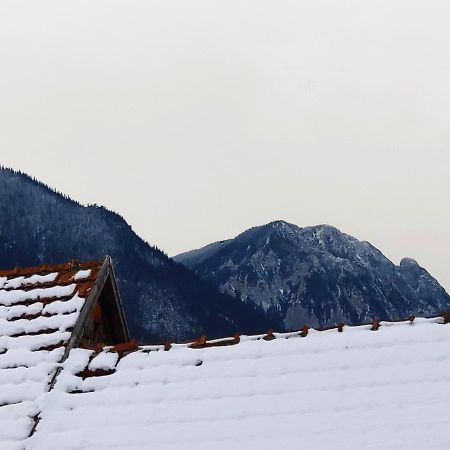 Casa Piatra Craiului Hotel Zărneşti Екстериор снимка