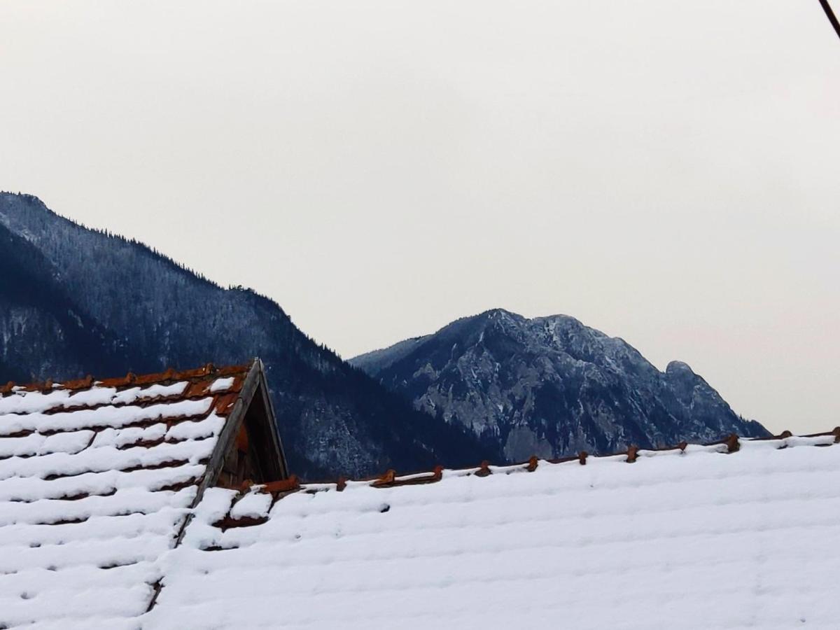 Casa Piatra Craiului Hotel Zărneşti Екстериор снимка