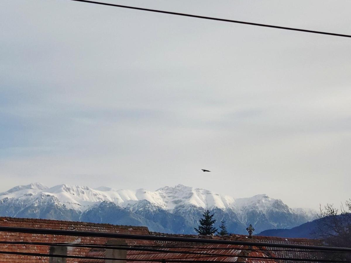 Casa Piatra Craiului Hotel Zărneşti Екстериор снимка