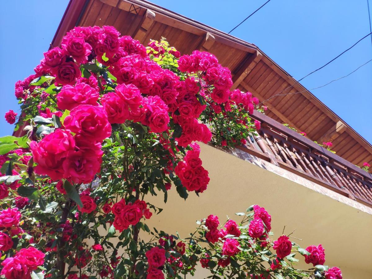 Casa Piatra Craiului Hotel Zărneşti Екстериор снимка