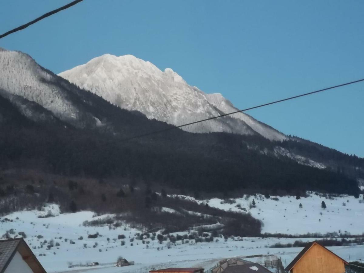 Casa Piatra Craiului Hotel Zărneşti Екстериор снимка